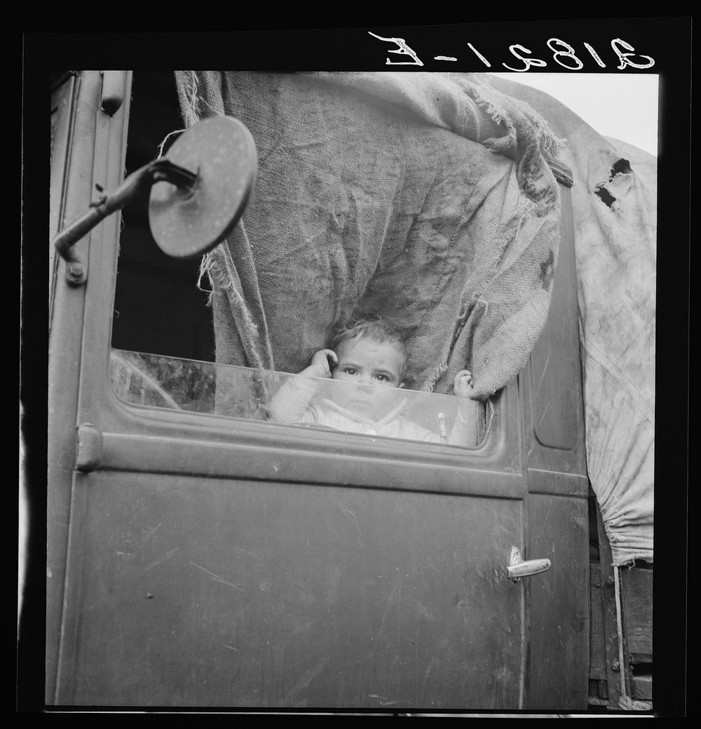 [Untitled photo, possibly related to: Baby from Mississippi parked in truck at FSA (Farm Security Administration) camp…