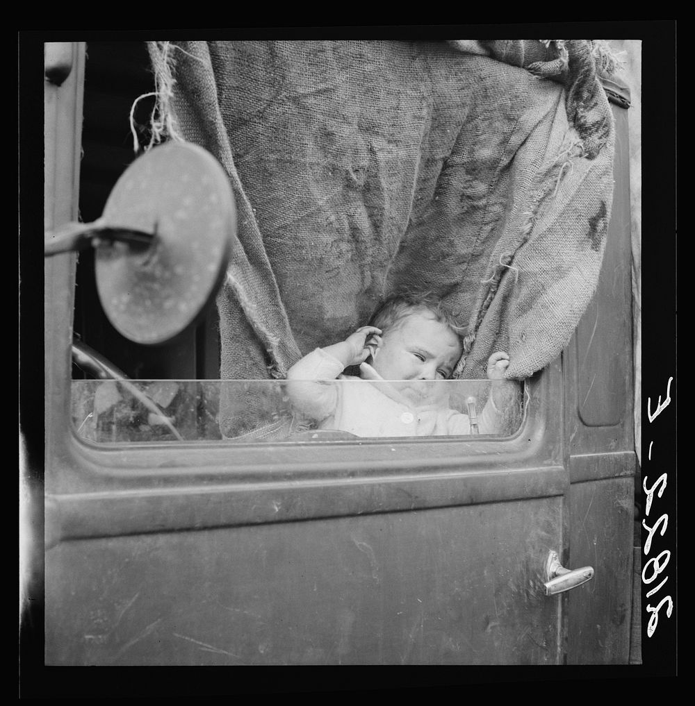 [Untitled photo, possibly related to: Baby from Mississippi parked in truck at FSA (Farm Security Administration) camp…
