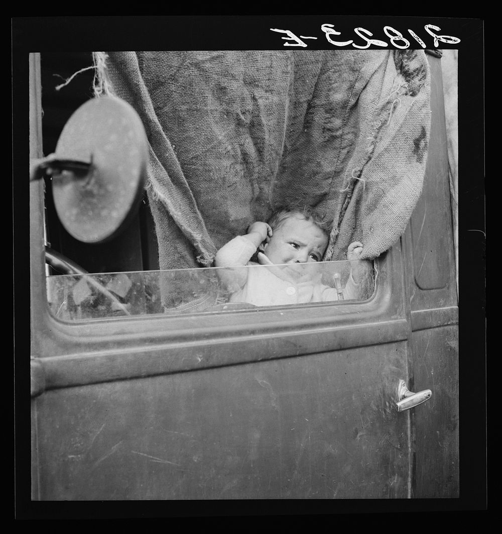 Baby from Mississippi parked in truck at FSA (Farm Security Administration) camp, Merrill, Oregon. See general caption 62 by…