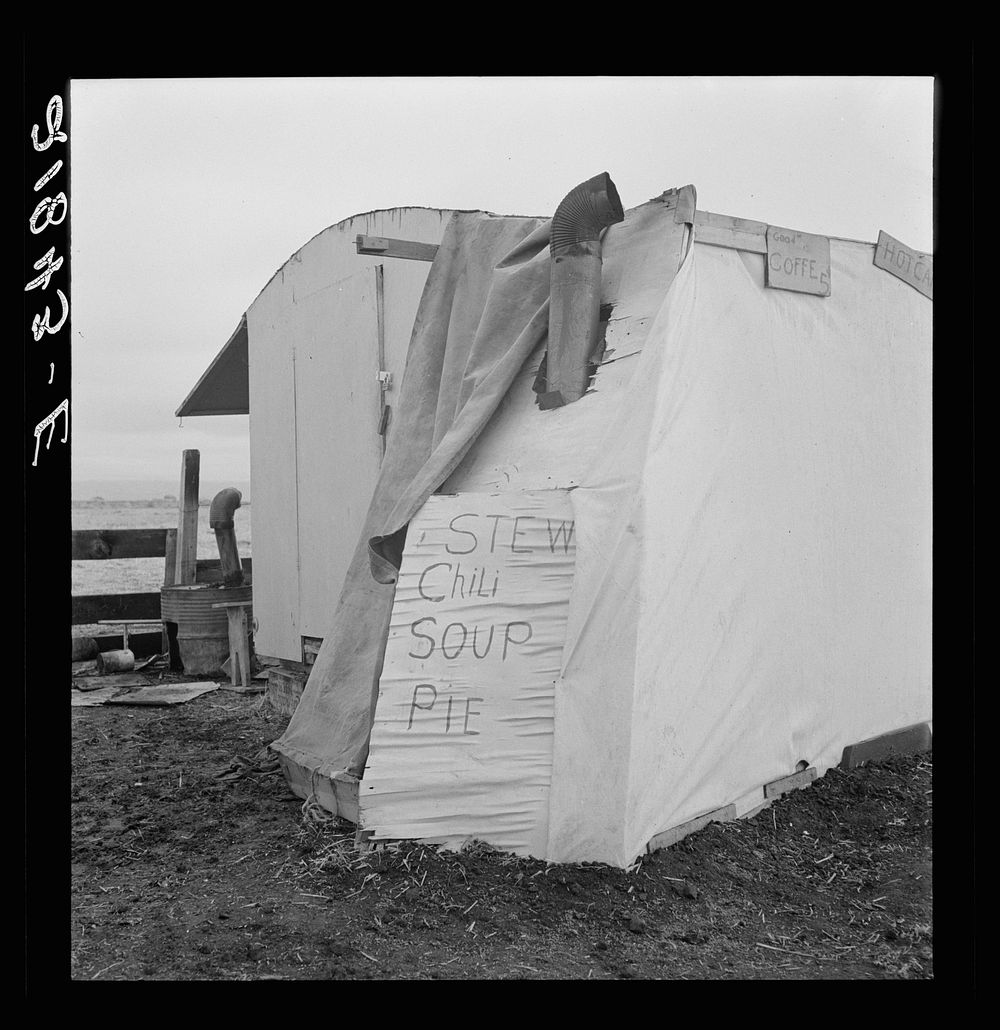 Outside of potato pickers' camp, across from the packing shed. Tulelake, Siskiyou County, California. See general caption…
