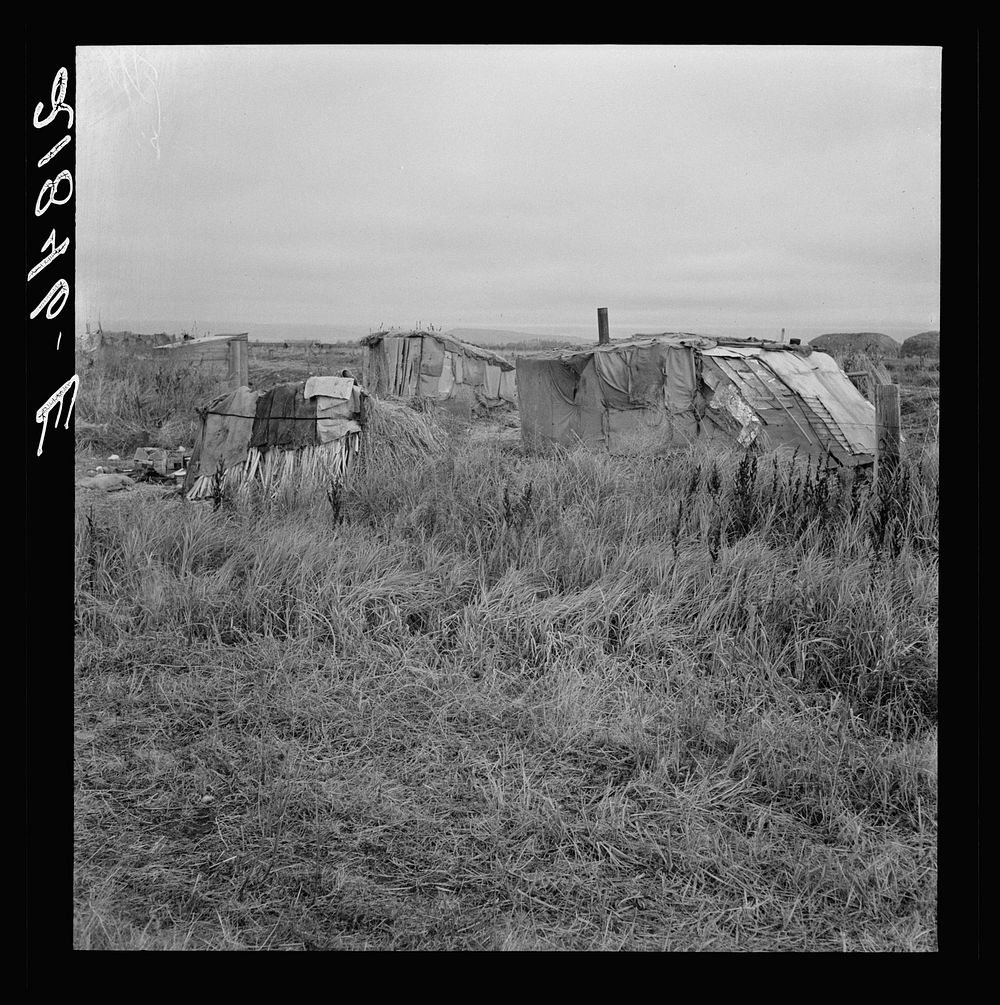 Living conditions of migrant potato pickers. Tulelake, Siskiyou County, California. See general caption 63. Sourced from the…