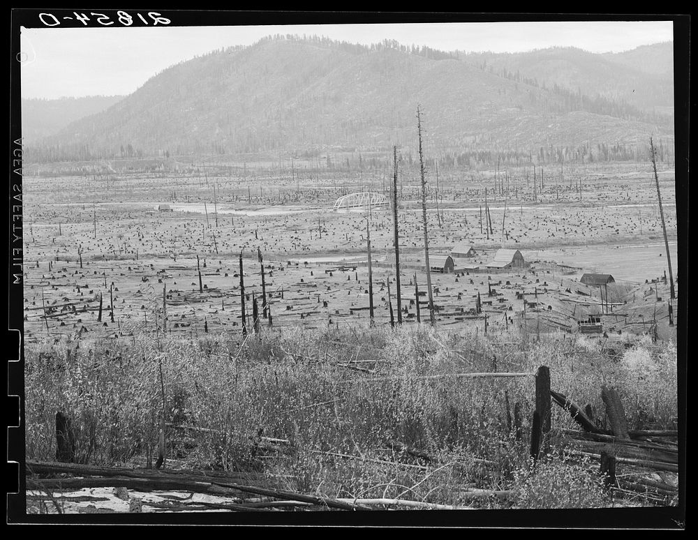 Looking down the Priest River Valley in which many new settlers are trying to establish farms. Bonner County, Idaho. See…