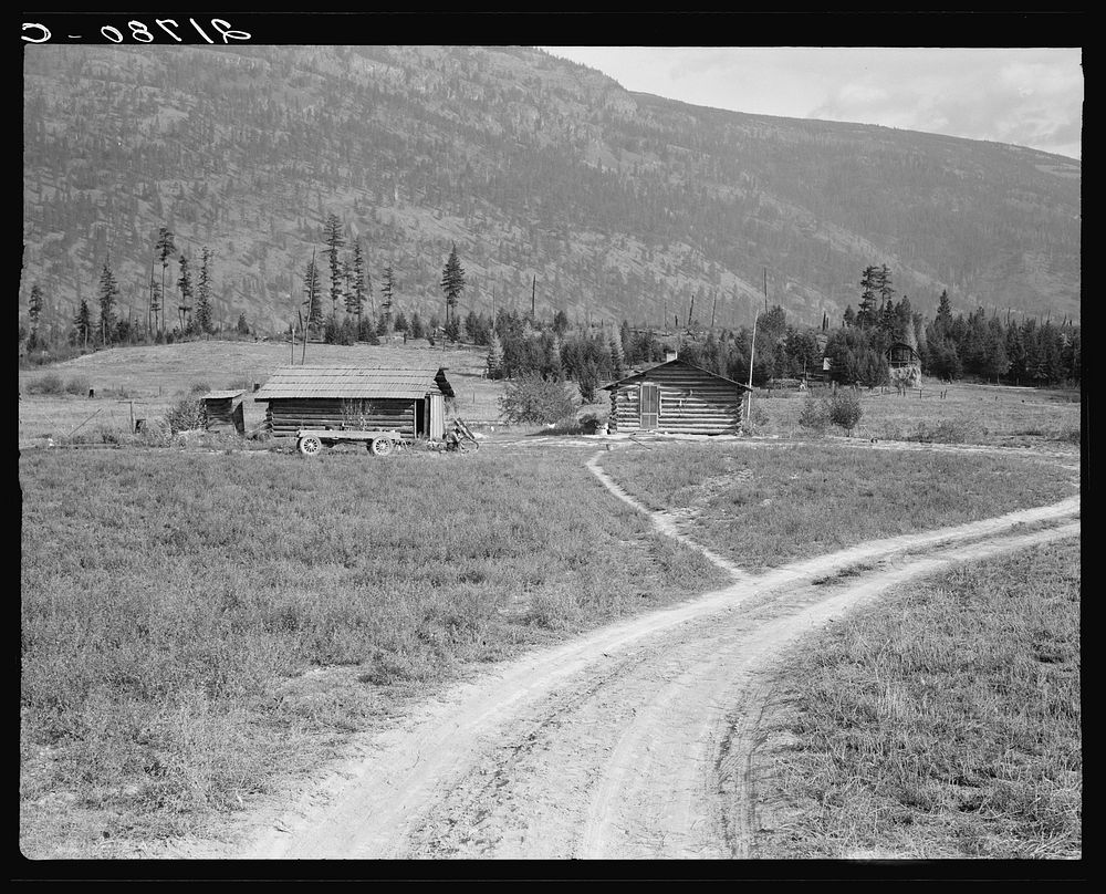 Log buildings and cleared land on FSA (Farm Security Administration) borrower's place. Boundary County, Idaho. See general…