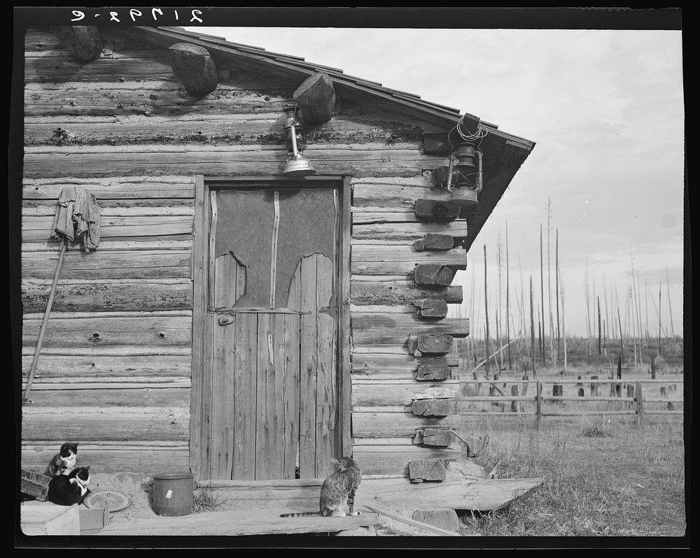 Log home. Farm established six years ago. Priest River Peninsula, Bonner County, Idaho. See general caption 49. Sourced from…