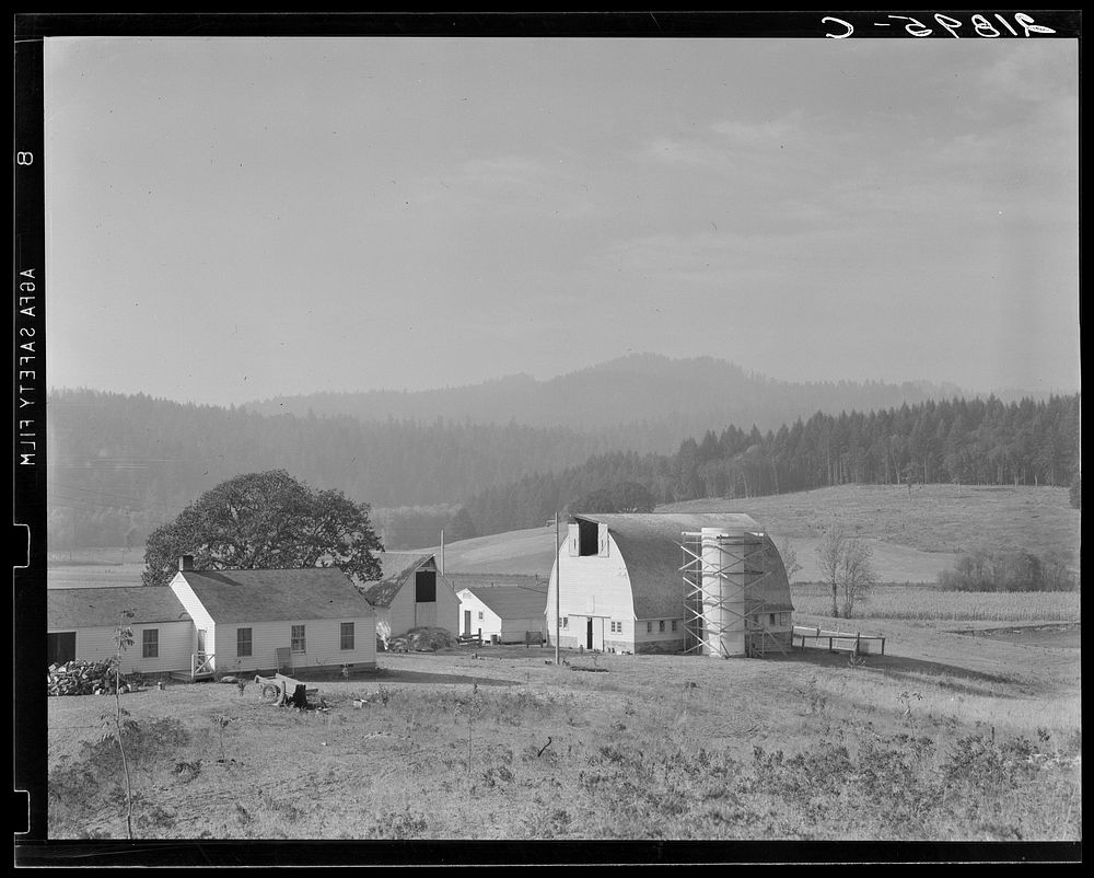 [Untitled photo, possibly related to: Unit no. 32 of Yamhill farms, Oregon: sewage disposal, electrification, twelve-cow…