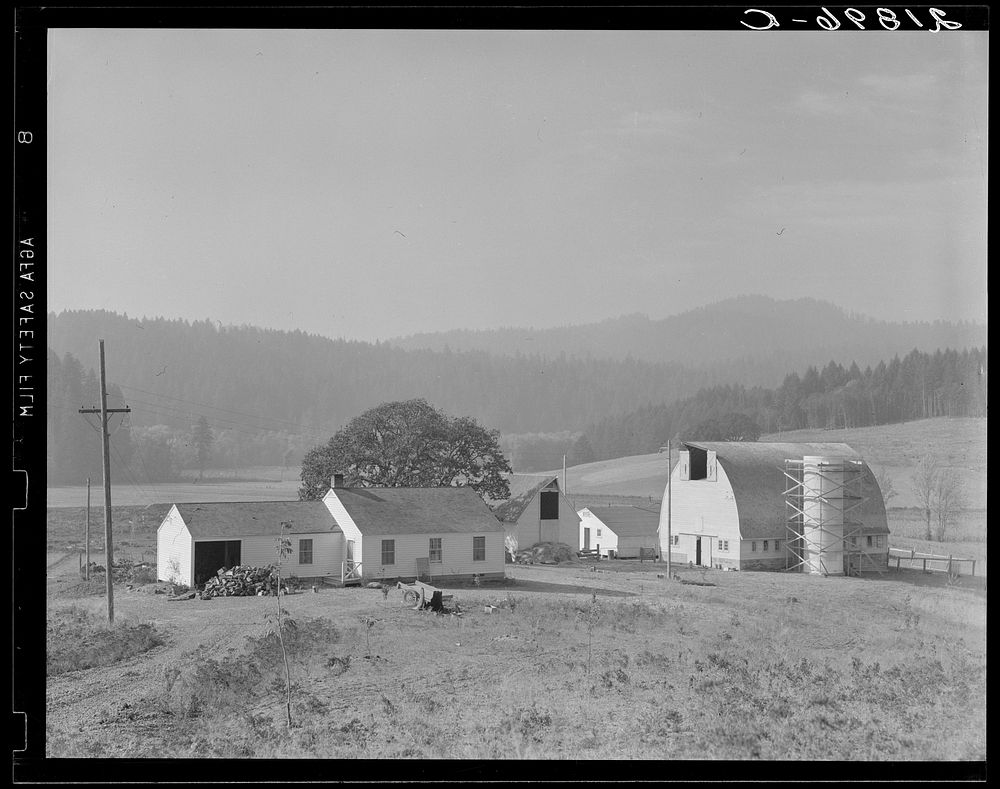 Unit no. 32 of Yamhill farms, Oregon: sewage disposal, electrification, twelve-cow dairy barn, silo under construction and…