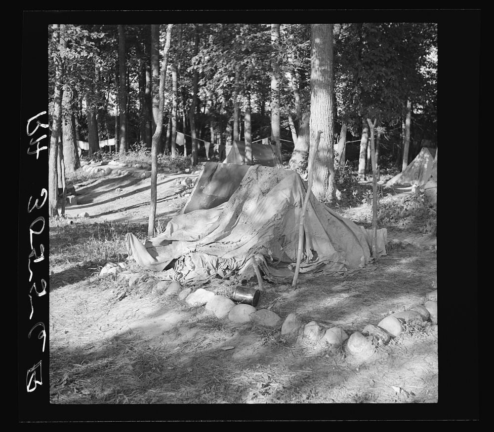 Tent of Indian blueberry picker. Littlefork, Minnesota by Russell Lee