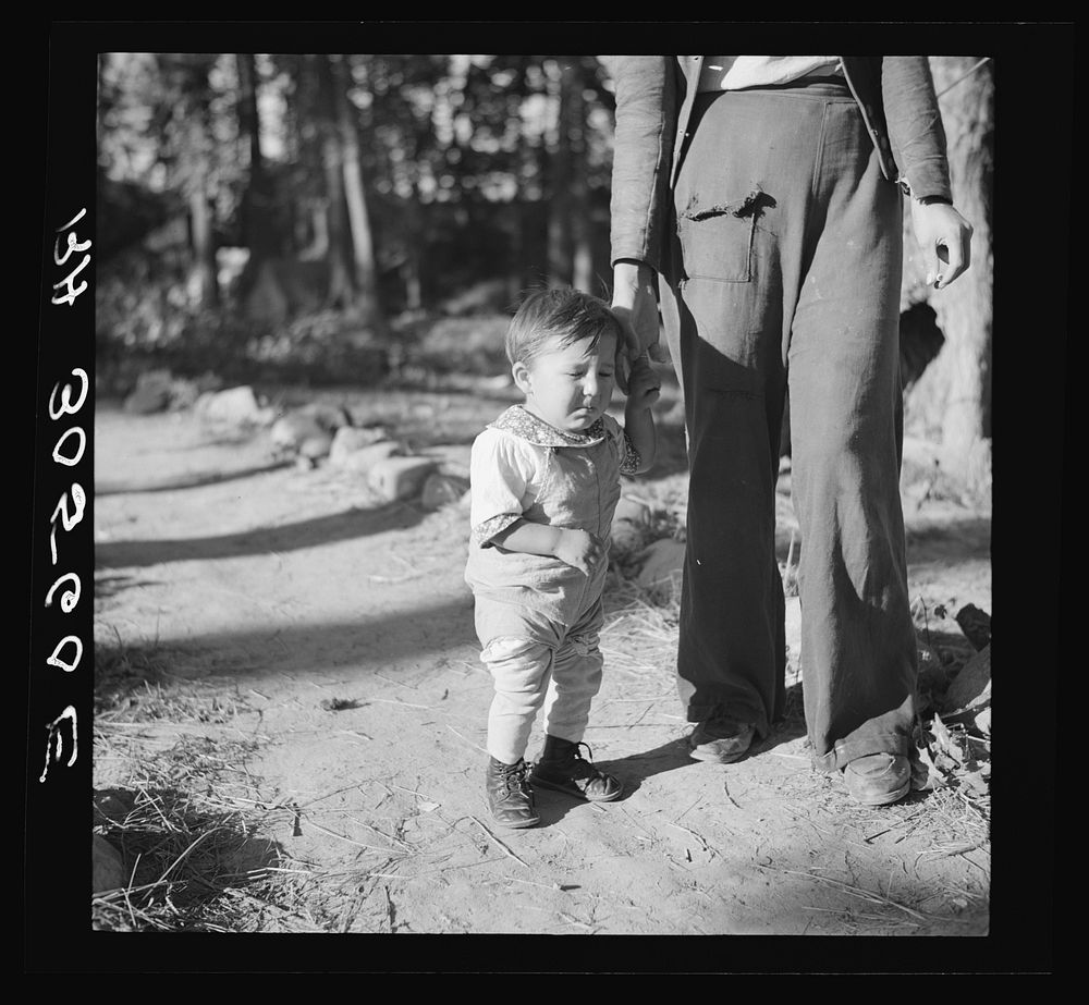 Indian baby, son of blueberry picker. Littlefork, Minnesota by Russell Lee