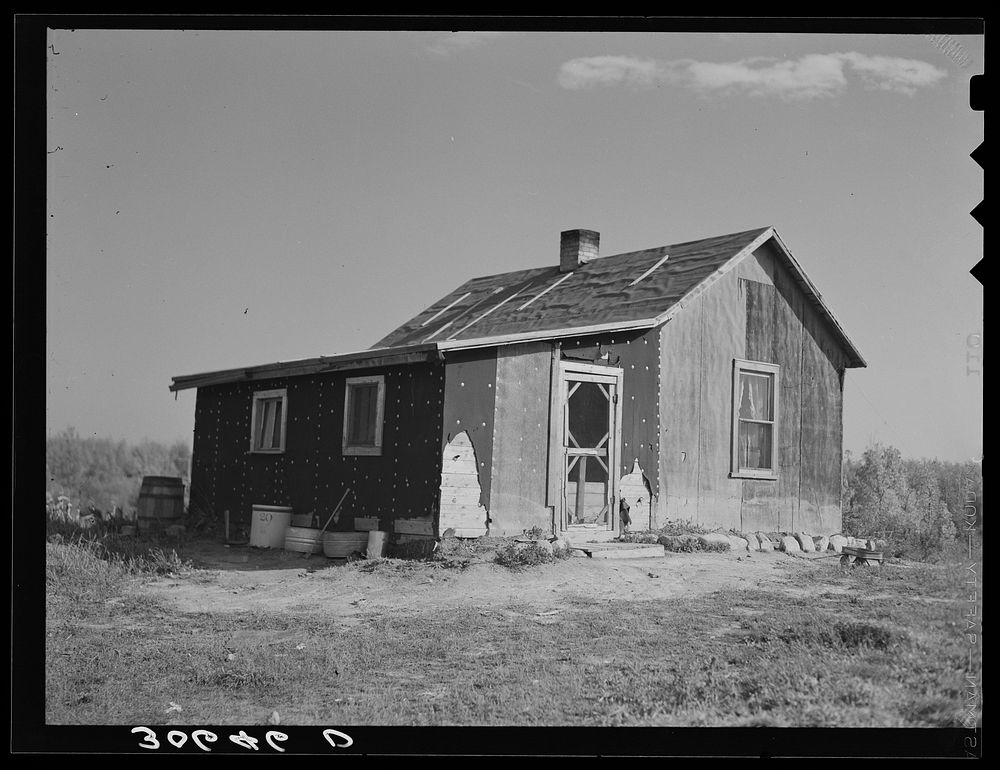 Home of Charles Swanson, cut-over farmer near Northome, Minnesota by Russell Lee