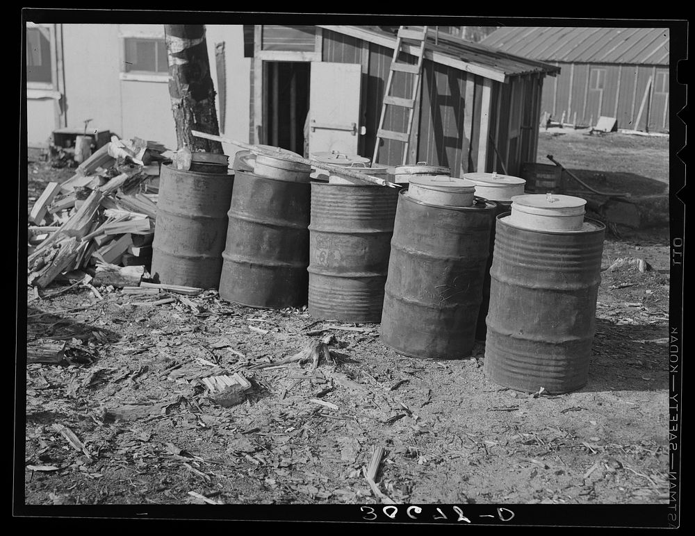 Water cans supplied by the state to be used in the woods near Effie, Minnesota by Russell Lee