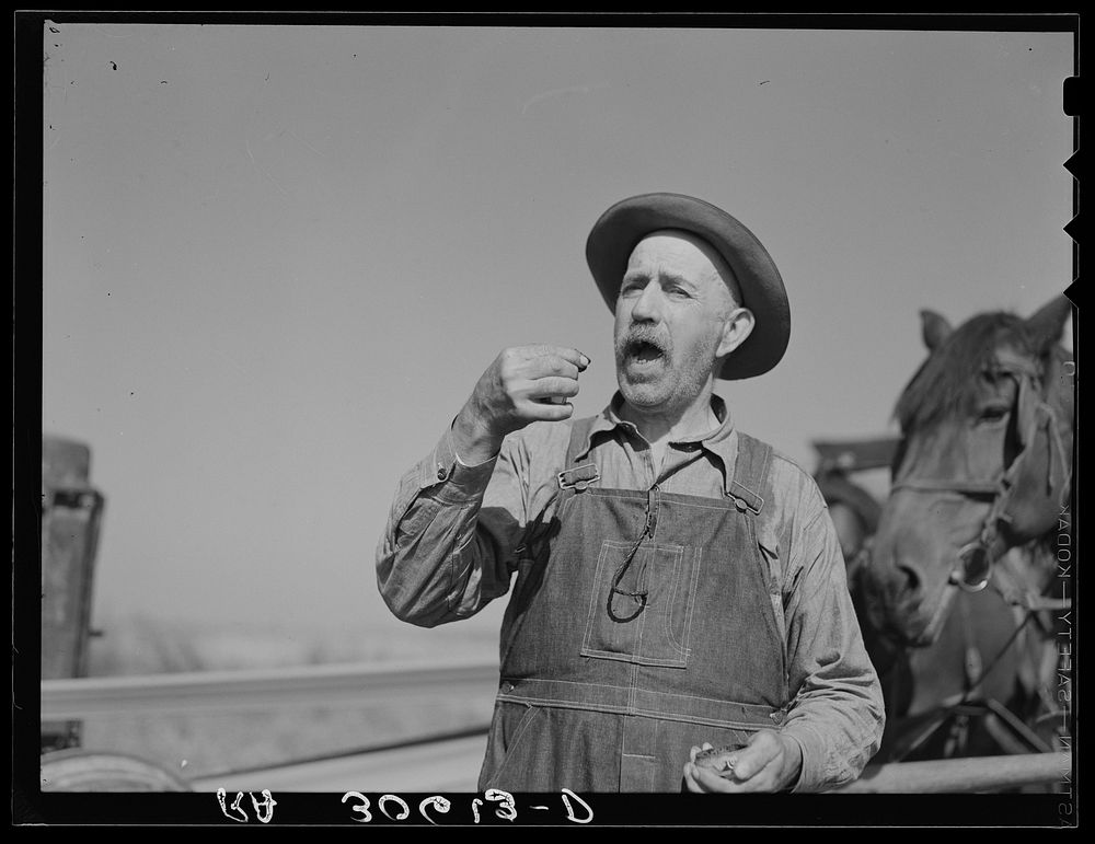 Cut-over farmer taking a pinch of snuff near Littlefork, Minnesota by Russell Lee