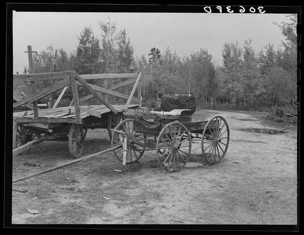 Democrat wagon on cut-over farm near Northome, Minnesota by Russell Lee