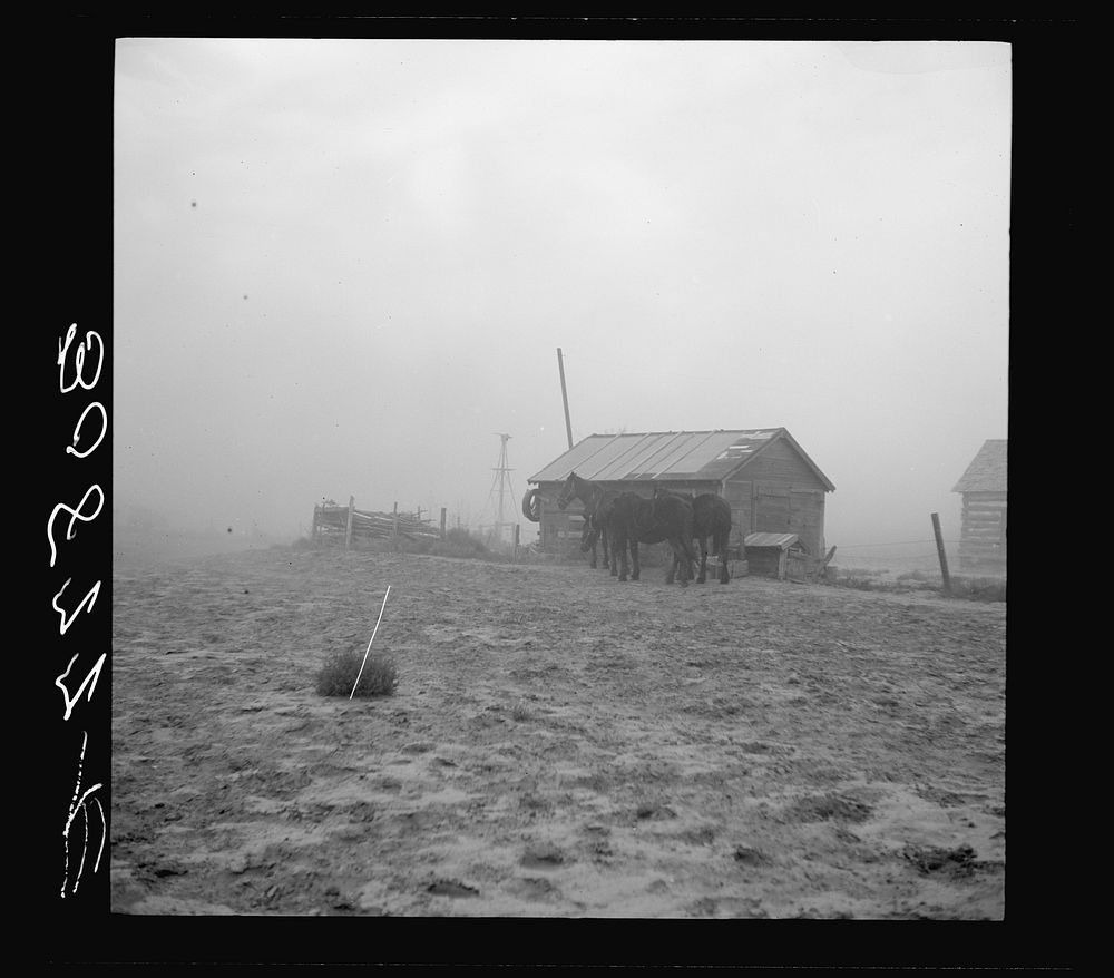 [Untitled photo, possibly related to: Dust storm near Williston, North Dakota] by Russell Lee