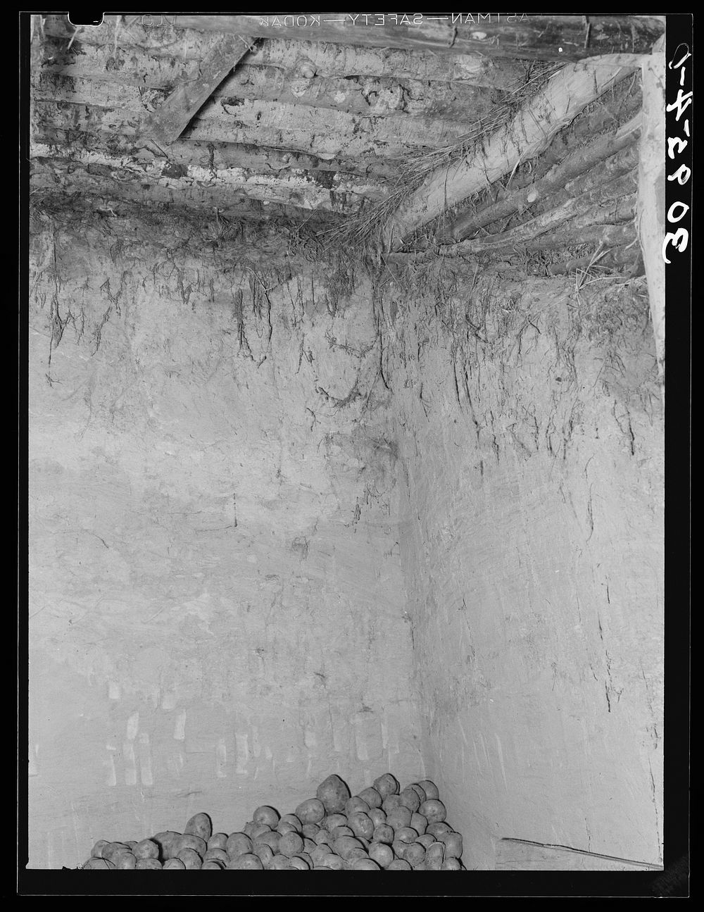 Detail of root cellar of Elmer Thompson. Sheridan County, Montana by Russell Lee
