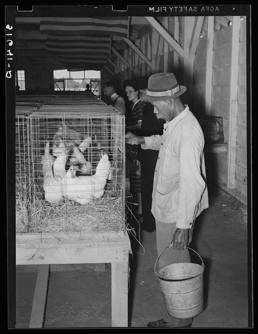 Woker watering chickens at South Louisiana State Fair. Donaldsonville, Louisiana by Russell Lee