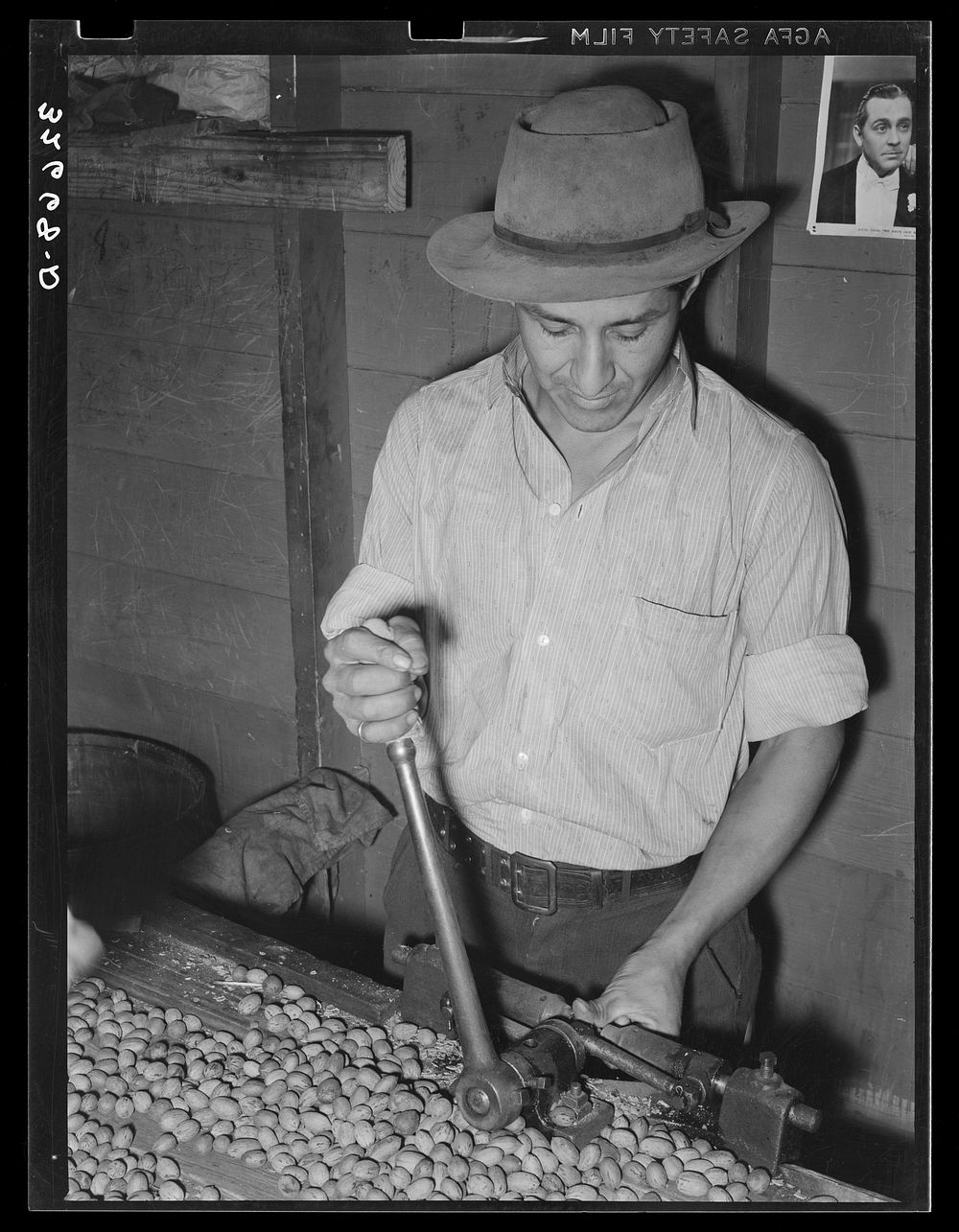 Mexican pecan sheller cracking nuts, non-union plant. San Antonio, Texas by Russell Lee