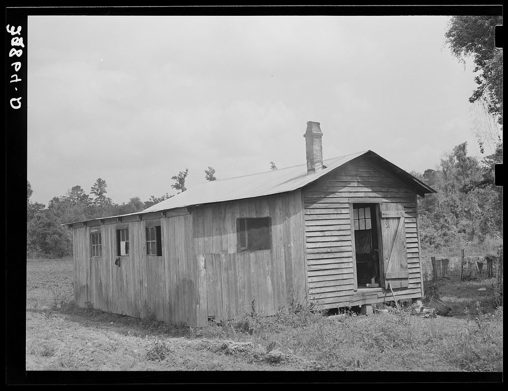 Living quarters for  strawberry pickers near Hammond, Louisiana.  Section on left is bunkhouse for Negro men, on right two…