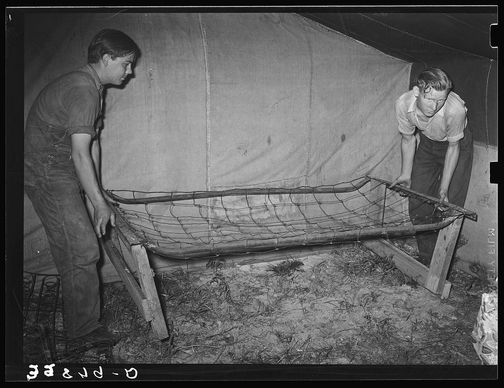 Moving in folding bed into tent home of migratory berry pickers near Hammond, Louisiana by Russell Lee