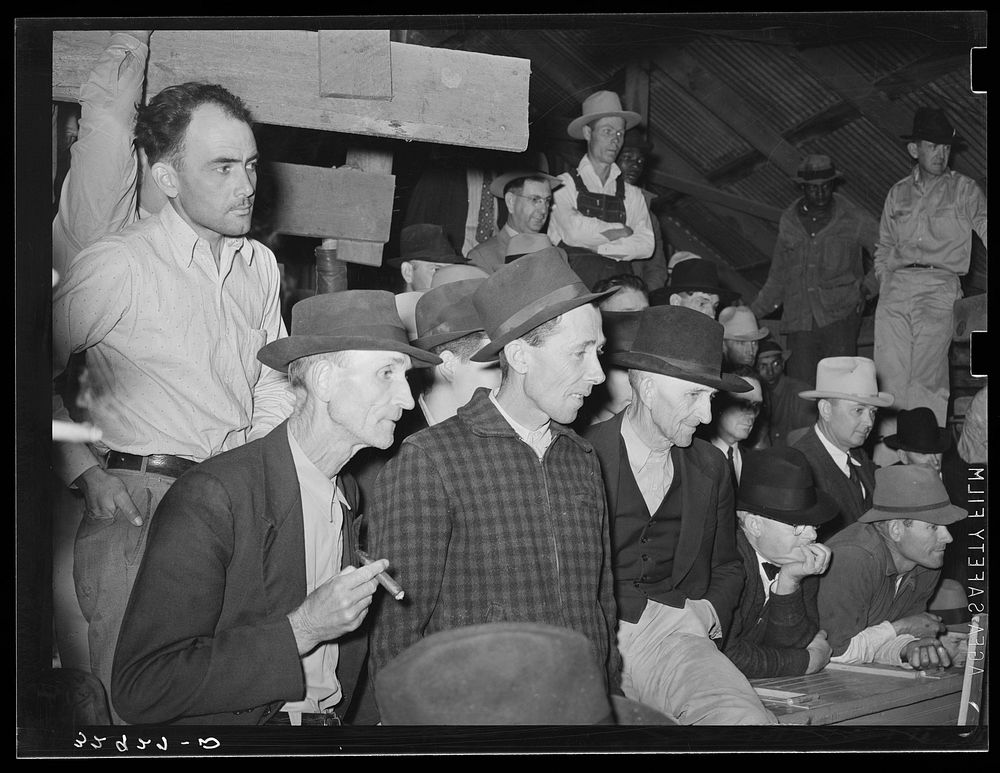 Spectators at cattle auction. San Augustine, Texas by Russell Lee
