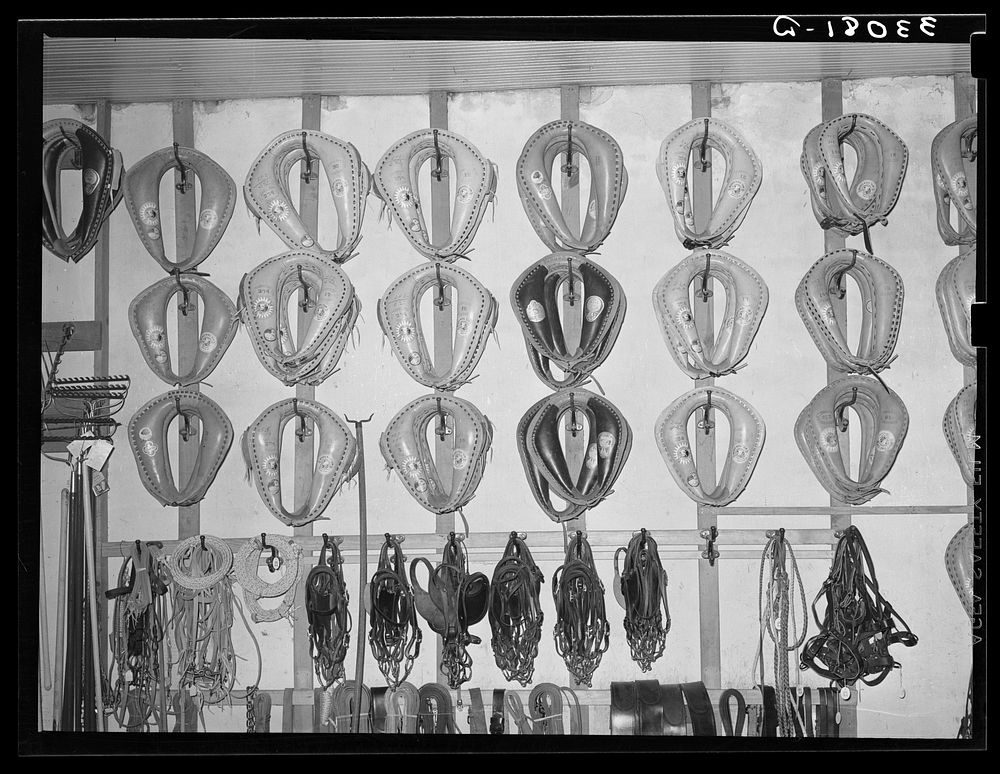 Horse collars and bridles in hardware store. San Augustine Texas by Russell Lee