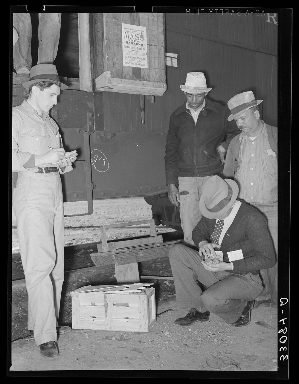 Federal inspection of strawberries with growers in background. Hammond, Louisiana by Russell Lee