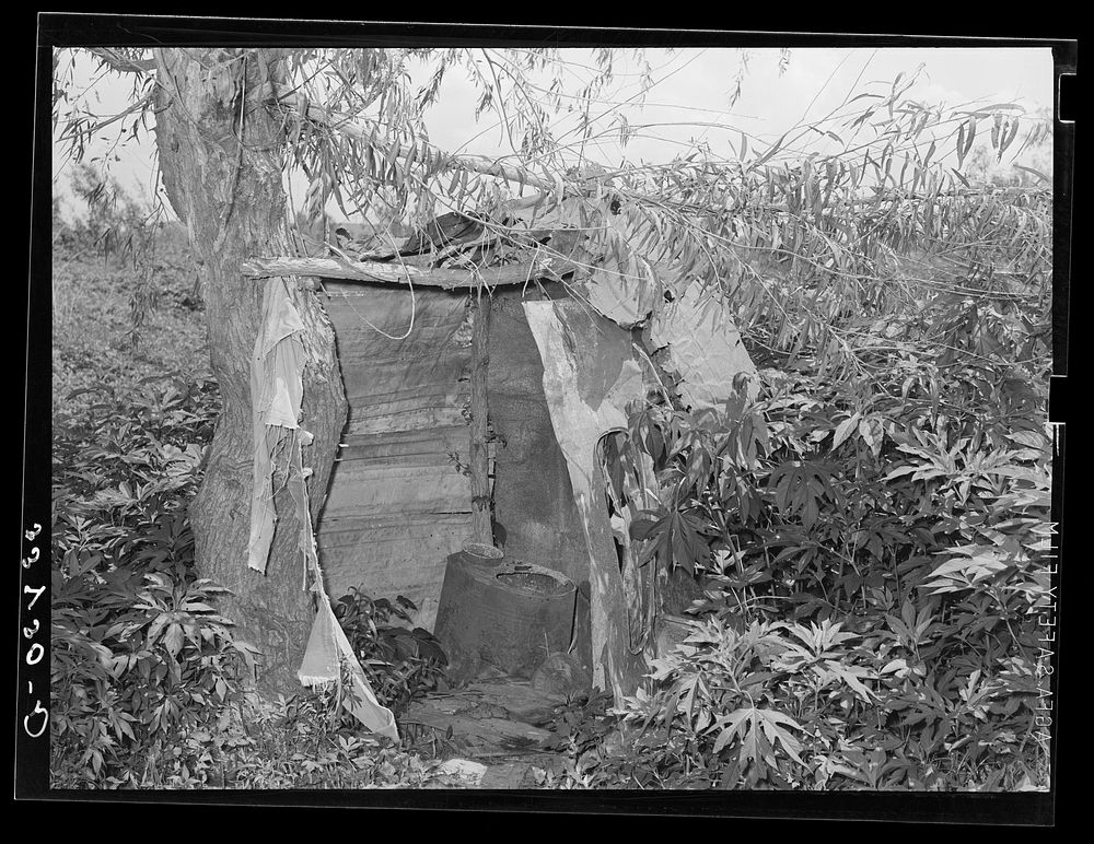 Privy of agricultural day laborer living in Arkansas River bottoms near Webbers Falls, Oklahoma. Muskogee County by Russell…