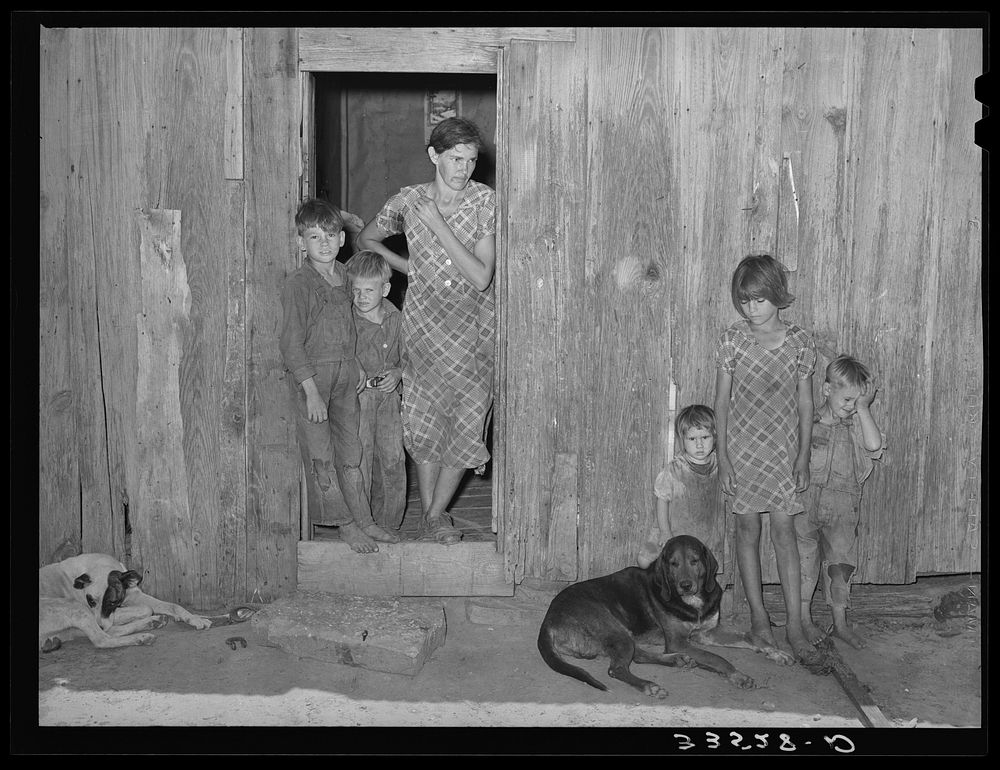 Part of family of tenant farmer. Hill section, McIntosh County, Oklahoma by Russell Lee