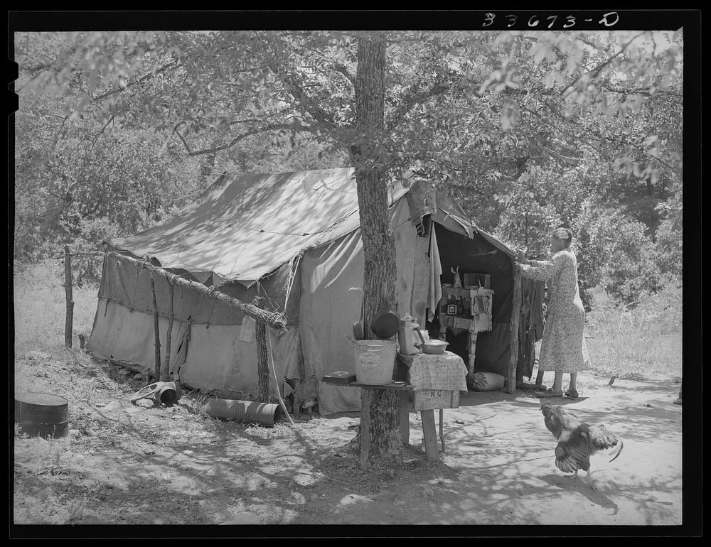 Home of old couple who have moved to tent home out of Sallisaw, Oklahoma, in order to save cost of rent and wood in town by…