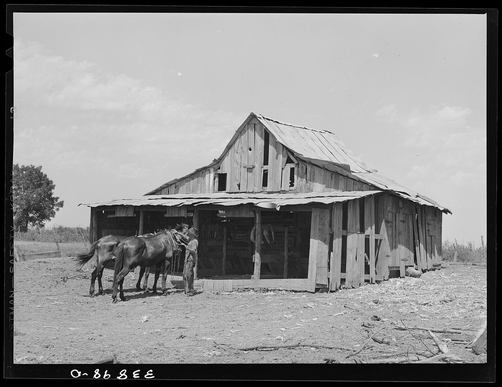 Barn belonging to tenant farmer near Muskogee, Oklahoma. See general caption no. 20 by Russell Lee