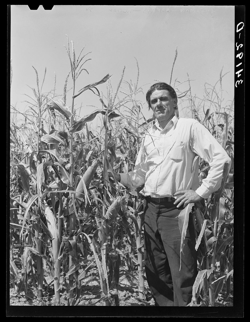 Ernest W. Kirk Jr., successful FSA (Farm Security Administration) client of Ordway, Colorado, standing in the midst of his…