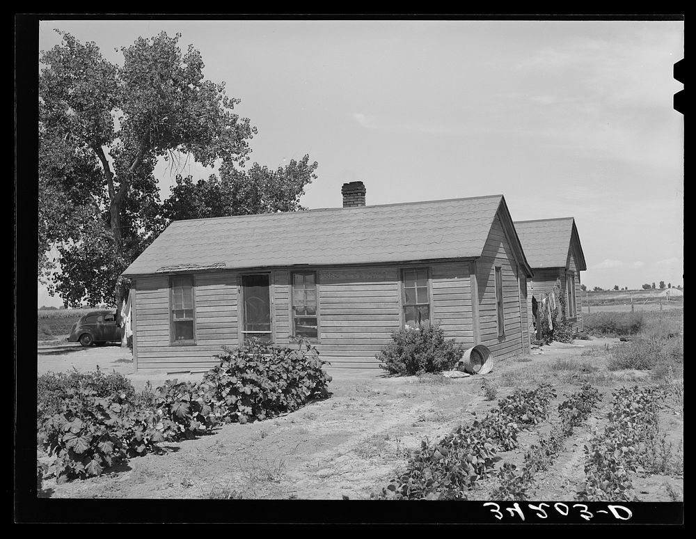 Home of Ernest W. Kirk Jr., FSA (Farm Security Administration) client near Ordway, Colorado. He runs an irrigated forty-acre…