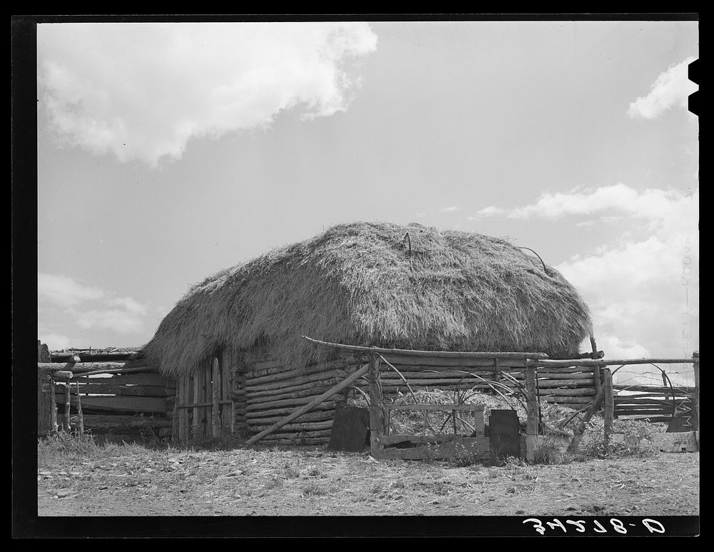 Straw-covered barn on Spanish-American farm near Questa, New Mexico by Russell Lee
