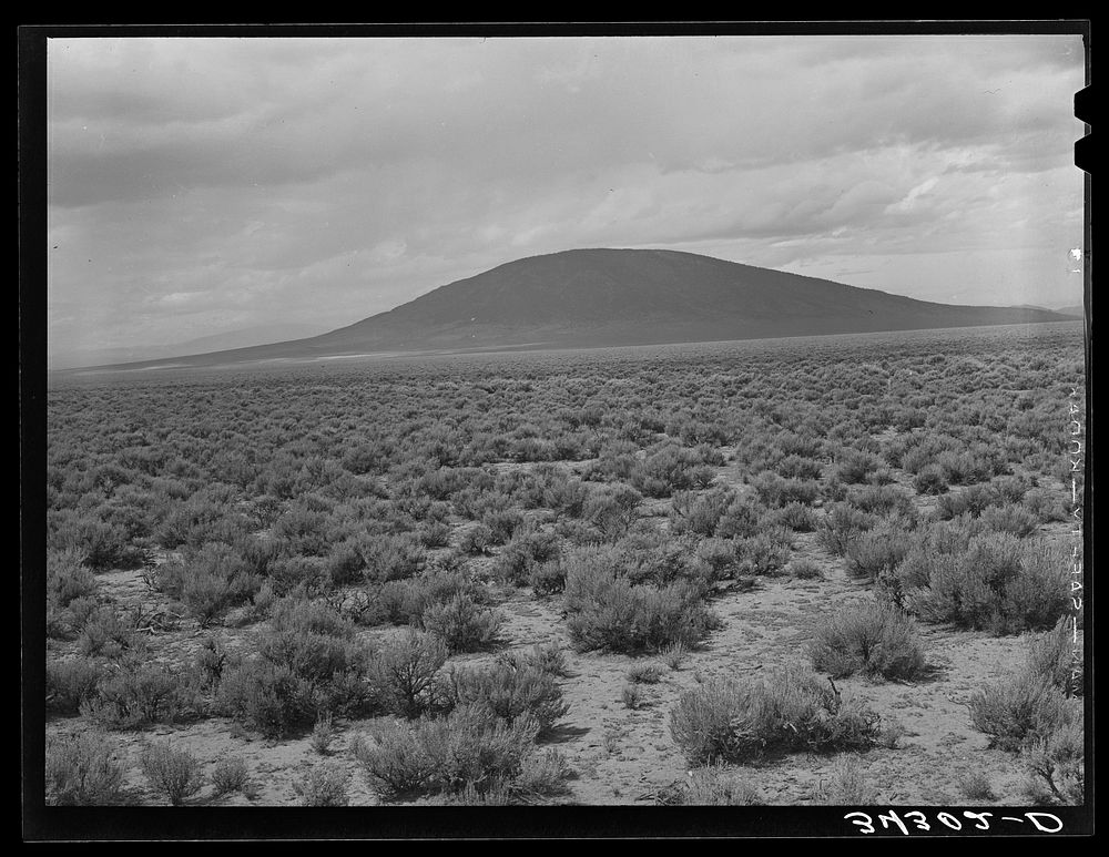 Sagebrush country near Costilla, New Mexico by Russell Lee