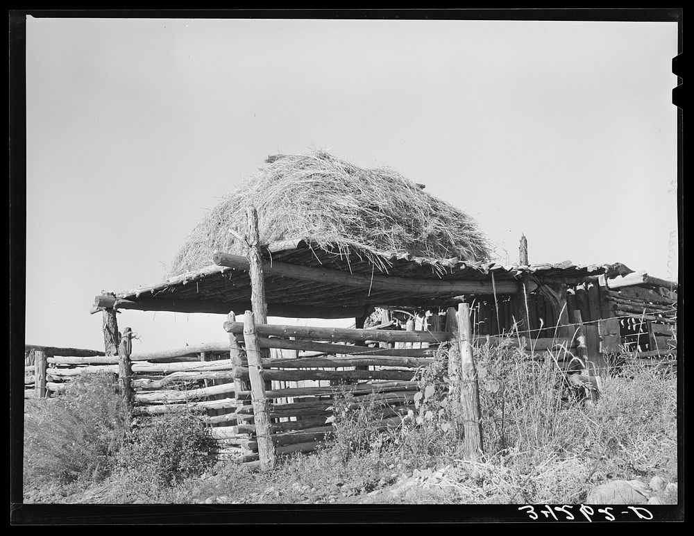 Livestock shelter with hay on roof near Questa, New Mexico by Russell Lee