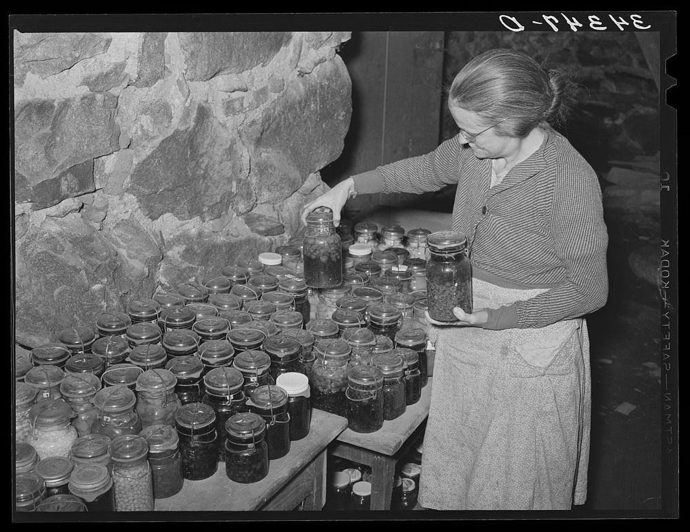 Wife of FSA (Farm Security Administration) client looking at canned goods stored in her cellar. Near Bradford, Vermont…
