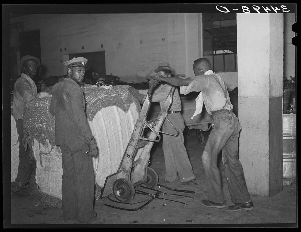 [Untitled photo, possibly related to: Action in loading a bale of cotton onto truck for transporting to compress. Houston…