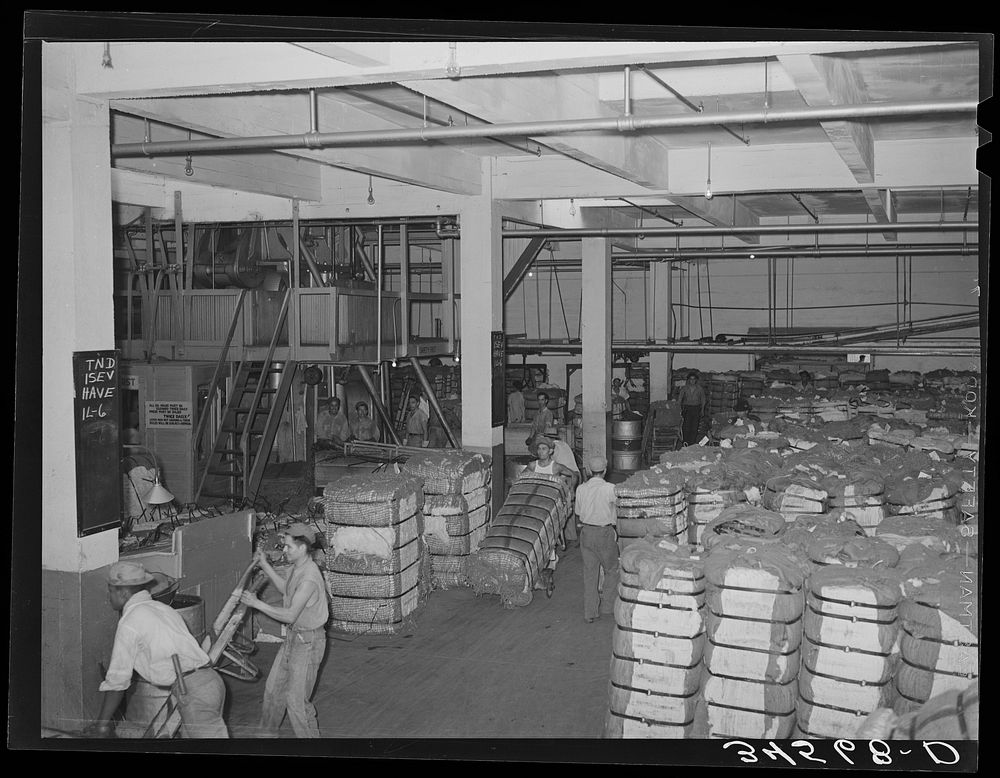 Interior of cotton compress and warehouse. Houston, Texas by Russell Lee