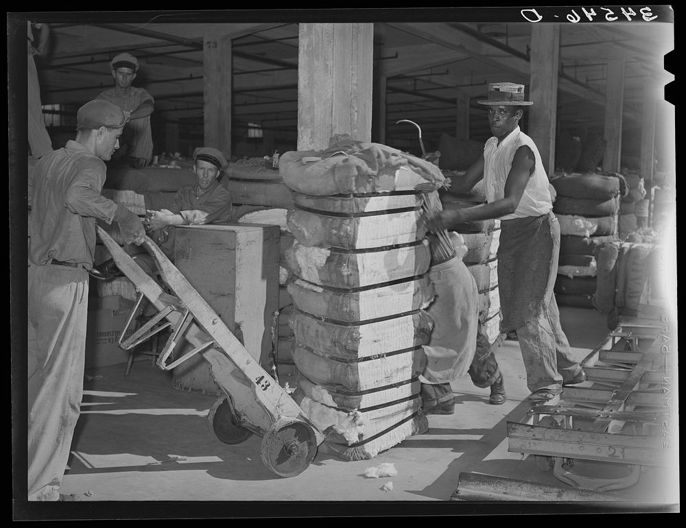 Putting bale of cotton onto hand truck. Compress, Houston, Texas by Russell Lee