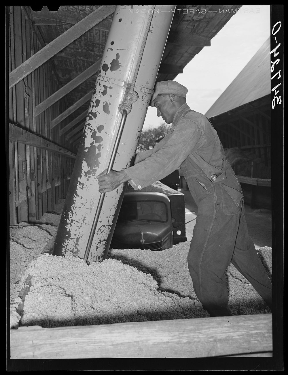 Unloading cotton seed at cotton seed oil mill. McLennan County, Texas by Russell Lee