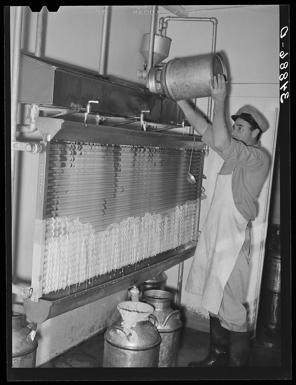 Cooling milk at large dairy. Tom Green County, Texas by Russell Lee