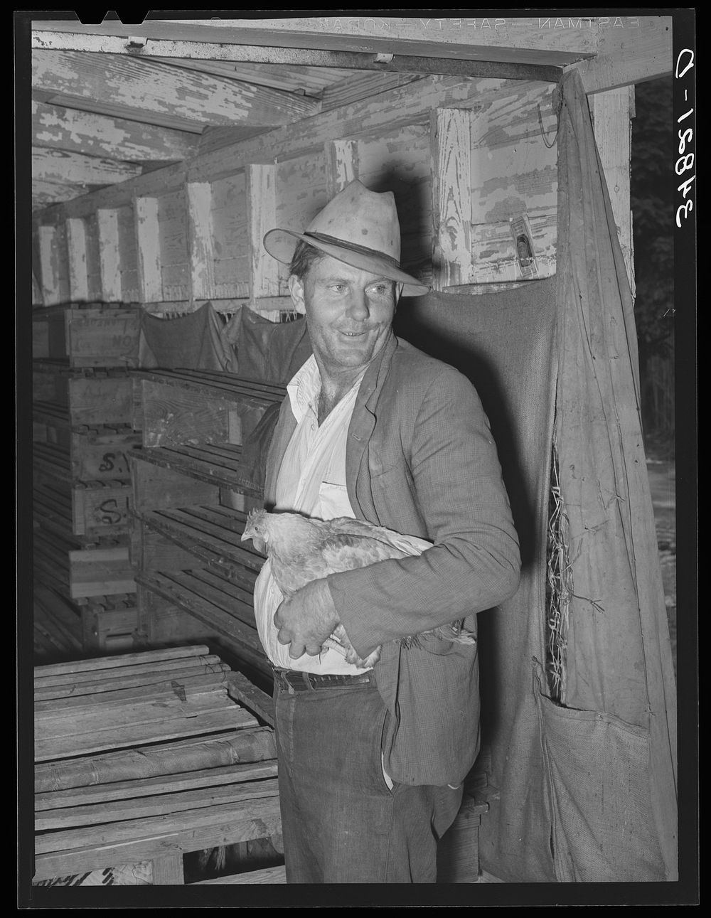 Man with chicken at cooperative poultry house. Brownwood, Texas by Russell Lee