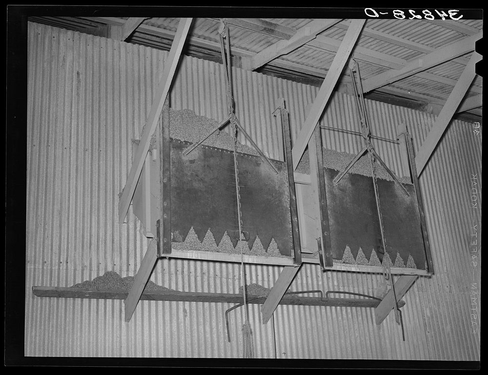 Type of drop gate for loading of cotton seed hulls onto trucks. Cotton seed oil mill. McLennan County, Texas by Russell Lee