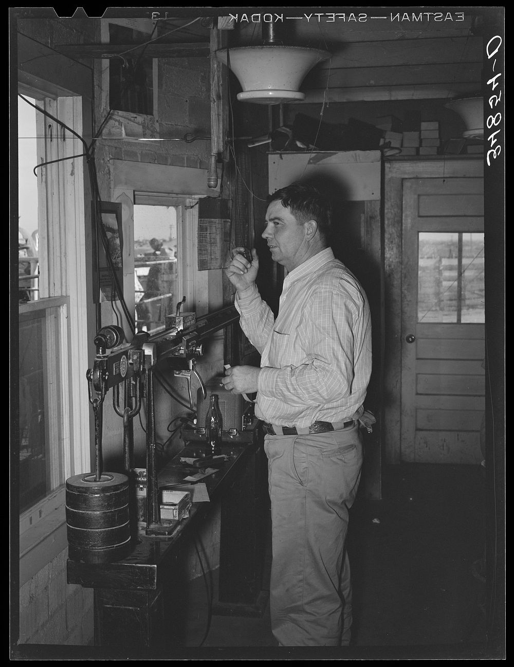 Man in office at stockyards. After cattle are sold at auction he calls out to the keepers in the pens to put cattle with…