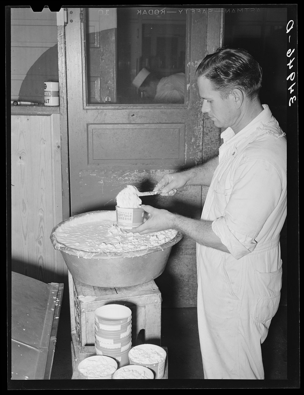 Filling cartons with cottage cheese. Creamery, San Angelo, Texas by Russell Lee