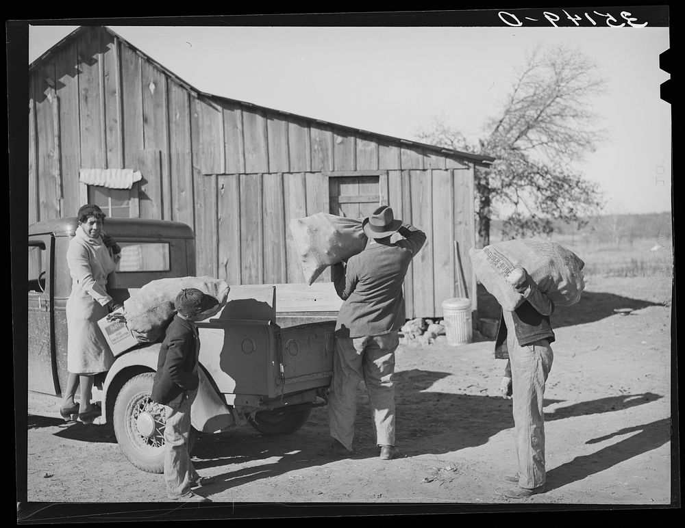 Carrying sacks of seed corn from truck. Pomp Hall,  tenant farmer. Creek County, Oklahoma. See general caption number 23 by…