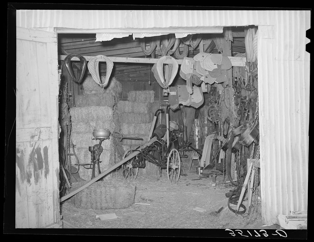 Scene in feed mill and secondhand farm equipment shop. Oklahoma City, Oklahoma by Russell Lee