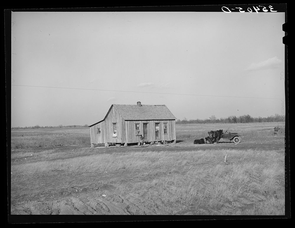 Cabin of  farmer in McIntosh County, Oklahoma by Russell Lee