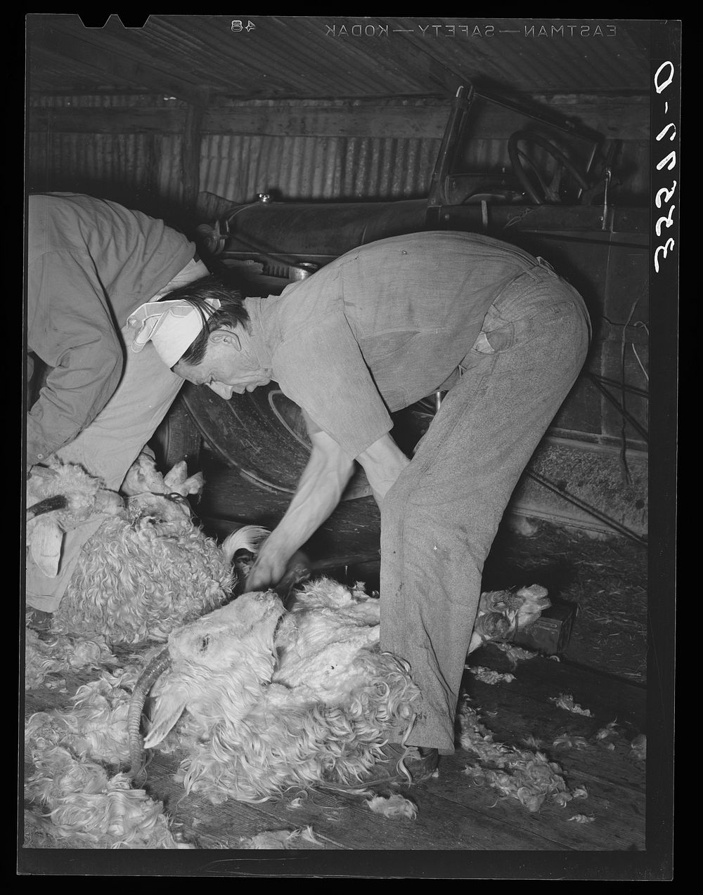 Shearing Goat Ranch Kimble County Free Photo Rawpixel shearing-goat-ranch-kimble-county-free-photo-rawpixel