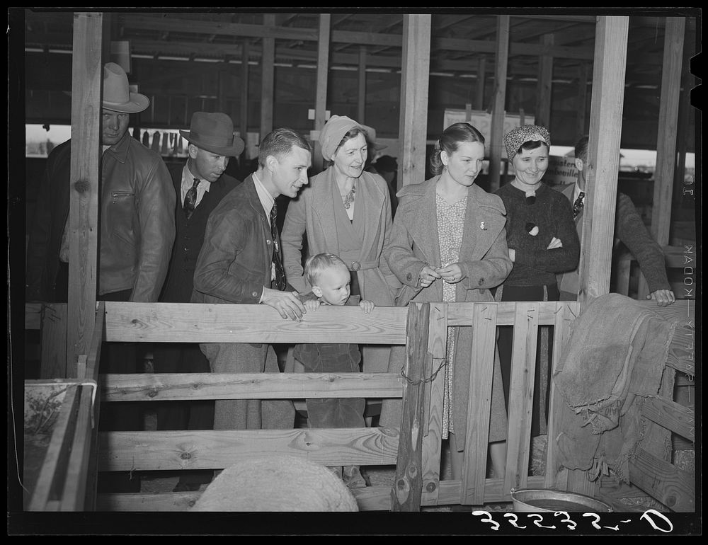 Visitors in the sheep barns at the San Angelo Fat Stock Show. San Angelo, Texas by Russell Lee