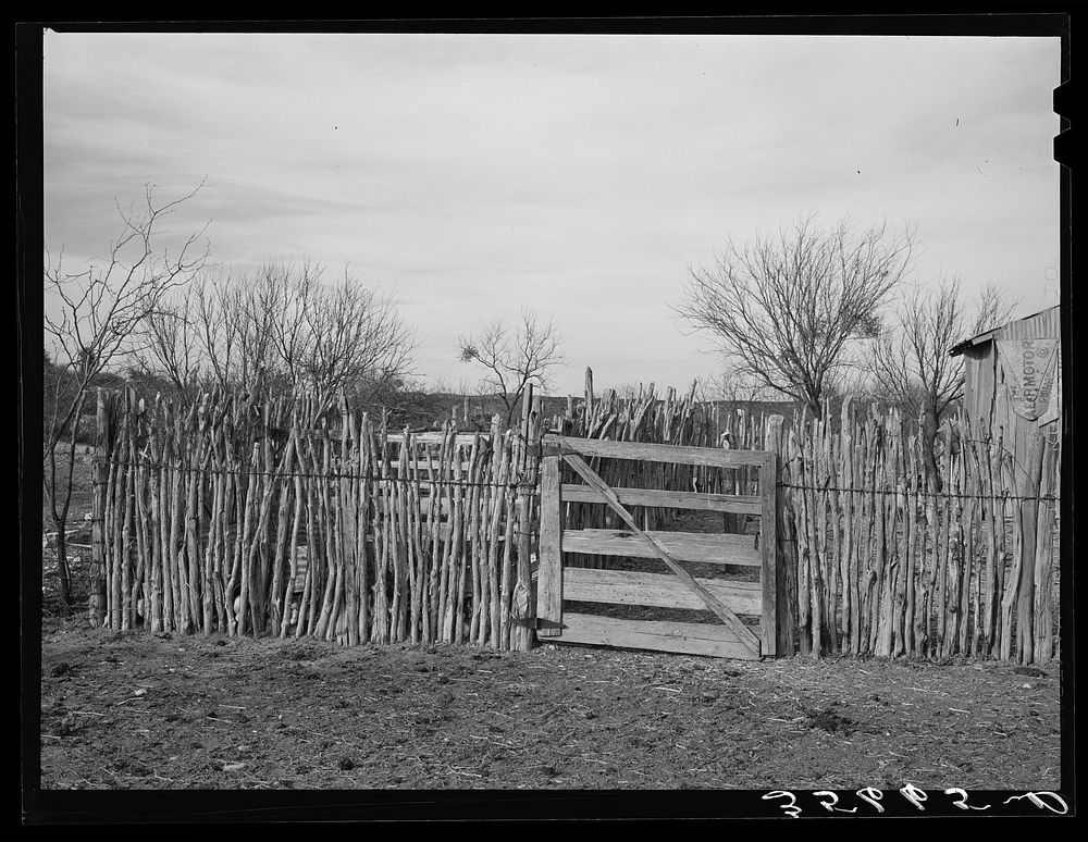 [Untitled photo, possibly related to: Cedar post fence on ranch of rehabilitation borrower in Kimble County, Texas] by…
